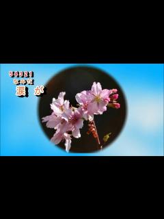 [x]A09 - 839 青い珊瑚礁 松田聖子 - YouTube